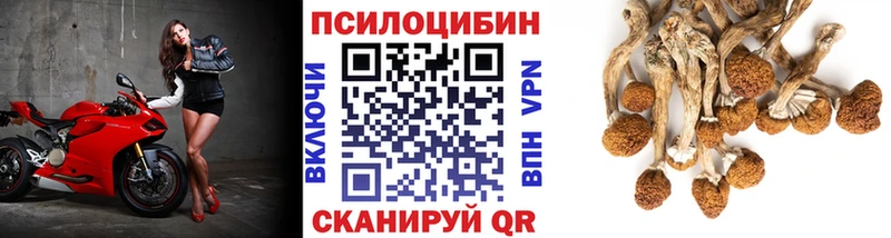 Галлюциногенные грибы Magic Shrooms  Анива 