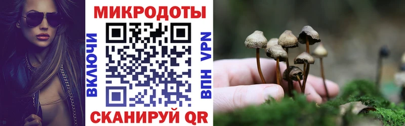 Псилоцибиновые грибы Magic Shrooms Анива