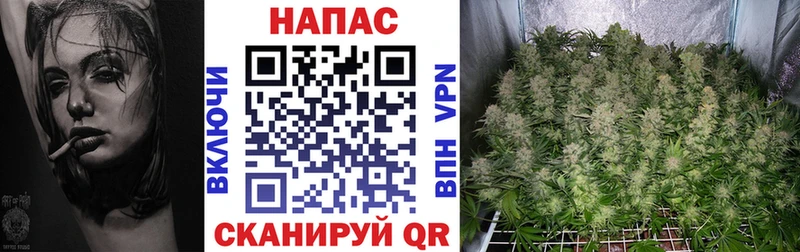 дарк нет Telegram  Анива  Каннабис AK-47 